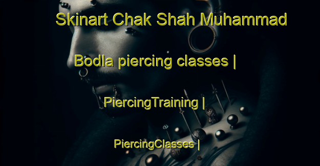 Skinart Chak Shah Muhammad Bodla piercing classes | PiercingTraining | PiercingClasses | SkinartTraining-Pakistan